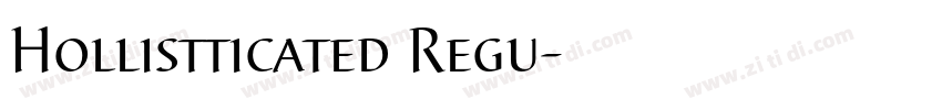 Hollistticated Regu字体转换